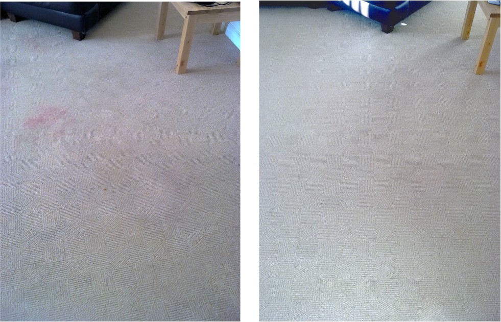 carpet cleaner perth