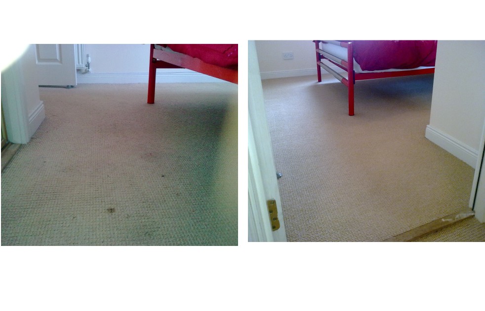 carpet cleaner Bankfoot 