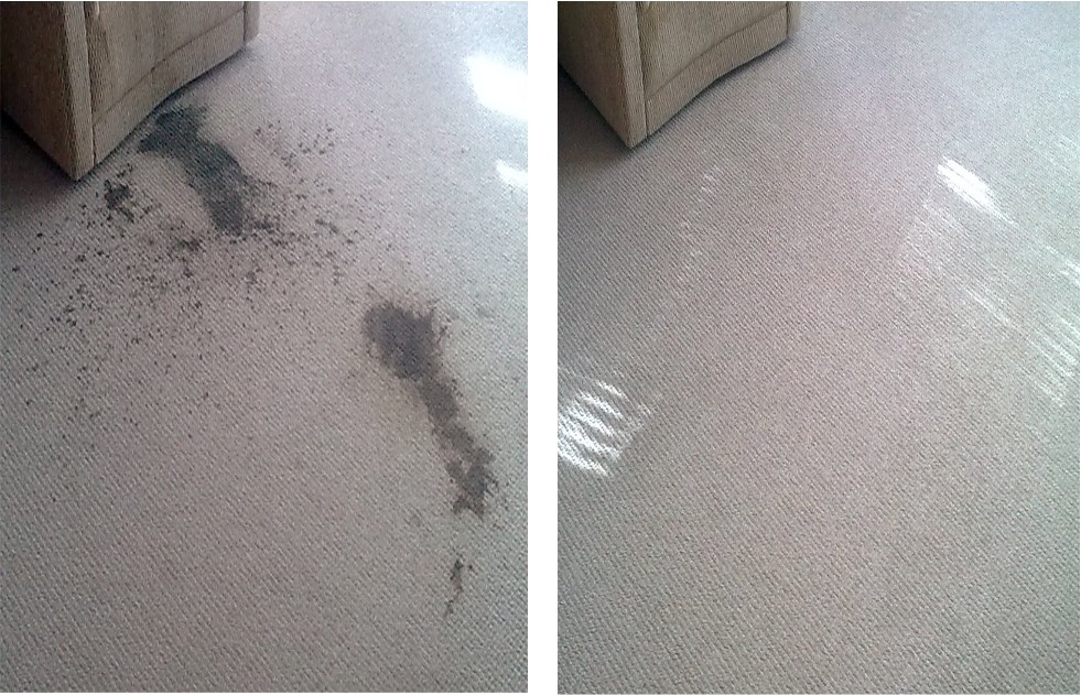 stain removal perth