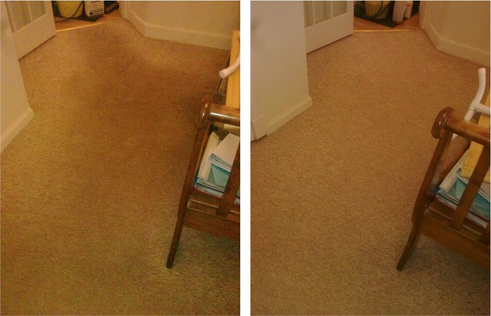 carpet cleaner Pitlochry