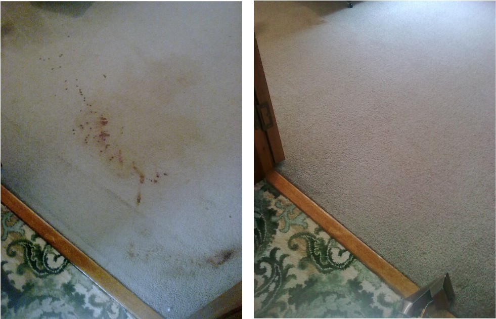 carpet cleaner Methven